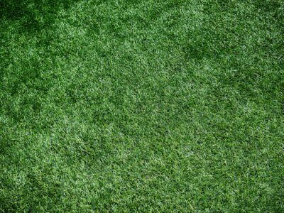 Artificial grass installers North Wales