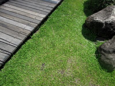 Artificial grass installers North Wales