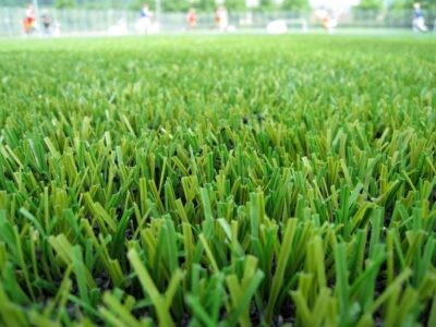 Artificial grass supplier near me North Wales