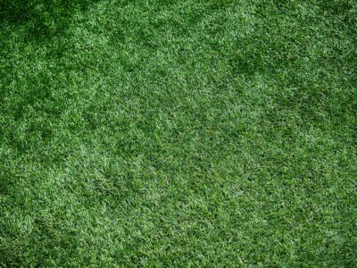 Artificial grass laying company North Wales