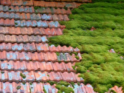 Roof moss clearance North Wales
