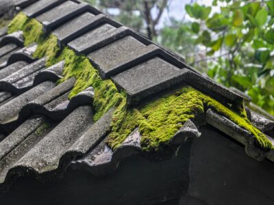 Roof moss removal North Wales