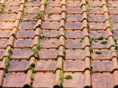 Roof moss removal specialists North Wales