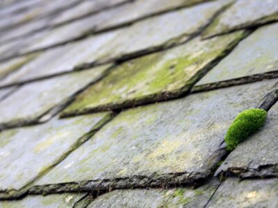 Slate roof moss removal North Wales