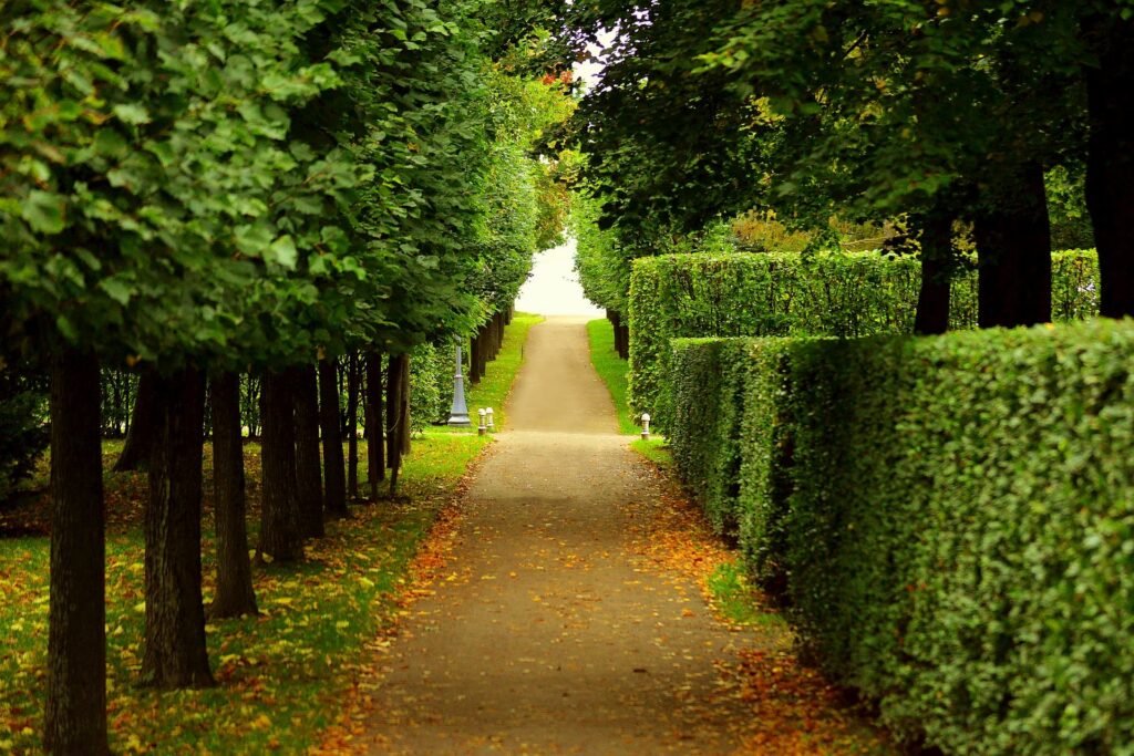 Garden pathway installer near me North Wales