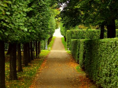 Garden pathway installer near me North Wales